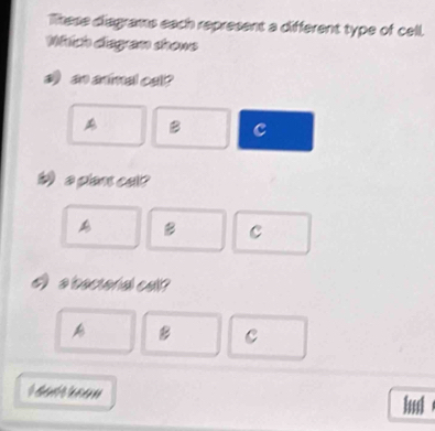 These diagrams each represent a different type of cell,
Whích diagram shone
a an animal cal ?
A B c
W a plant cal?
C
` a bectoral call ?
A B C
ld