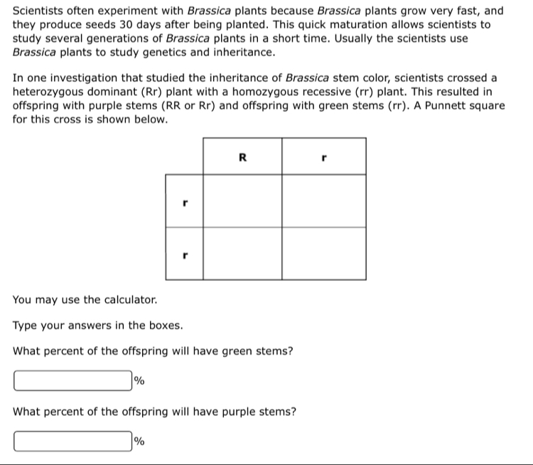Scientists often experiment with Brassica plants because Brassica plants grow very fast, and 
they produce seeds 30 days after being planted. This quick maturation allows scientists to 
study several generations of Brassica plants in a short time. Usually the scientists use 
Brassica plants to study genetics and inheritance. 
In one investigation that studied the inheritance of Brassica stem color, scientists crossed a 
heterozygous dominant (Rr) plant with a homozygous recessive (rr) plant. This resulted in 
offspring with purple stems (RR or Rr) and offspring with green stems (rr). A Punnett square 
for this cross is shown below. 
You may use the calculator. 
Type your answers in the boxes. 
What percent of the offspring will have green stems? 
What percent of the offspring will have purple stems? 
0