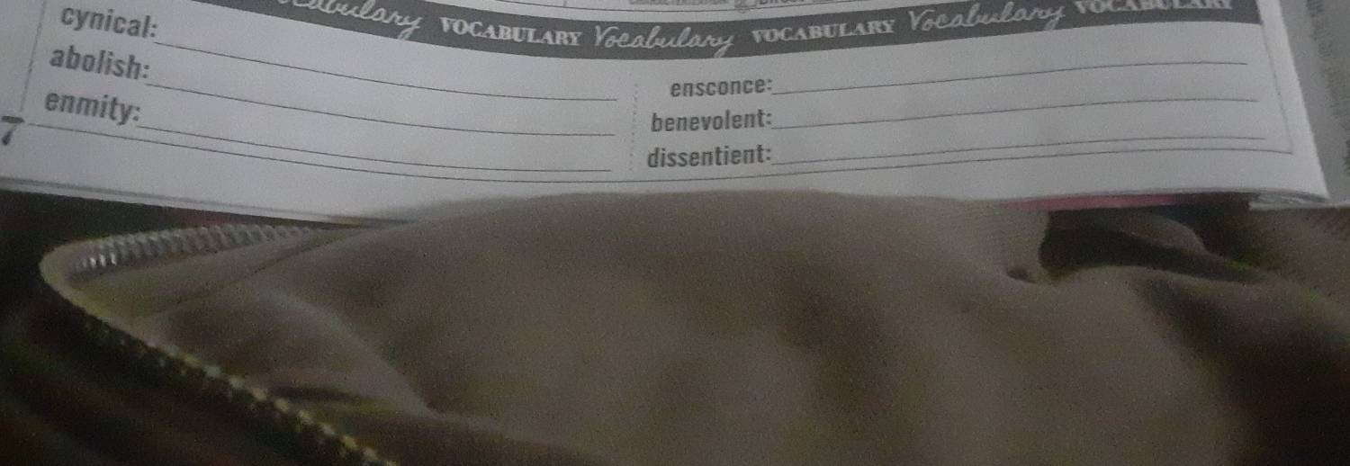 wulor 
cynical: Vocabulary Vocobulary Vocabulary Vocabulany vocaru 
abolish: 
_ 
_ 
_ensconce: 
_ 
_ 
enmity: 
_benevolent: 
dissentient: