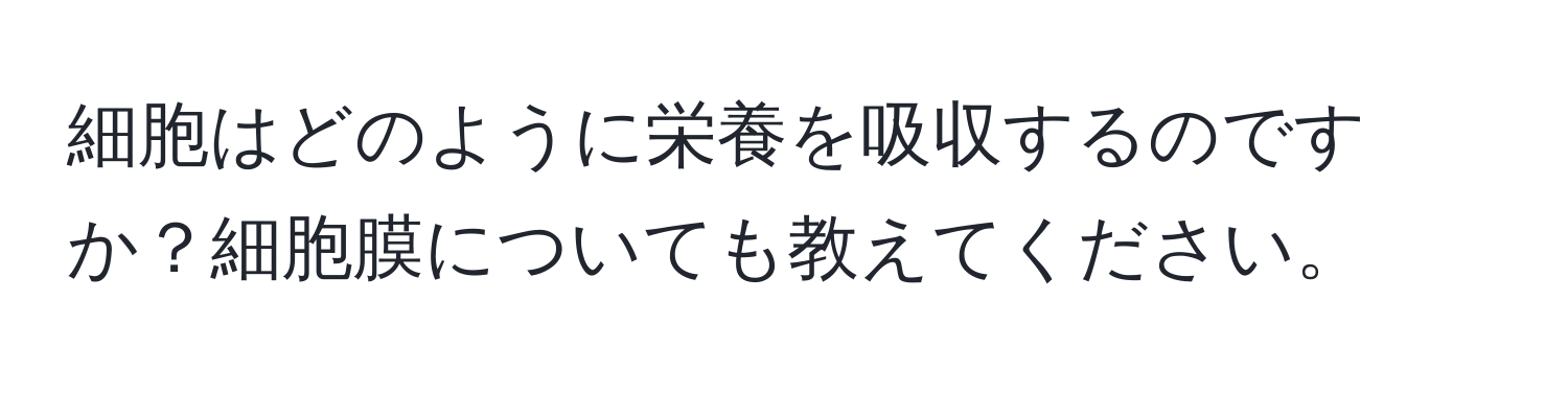 細胞はどのように栄養を吸収するのですか？細胞膜についても教えてください。