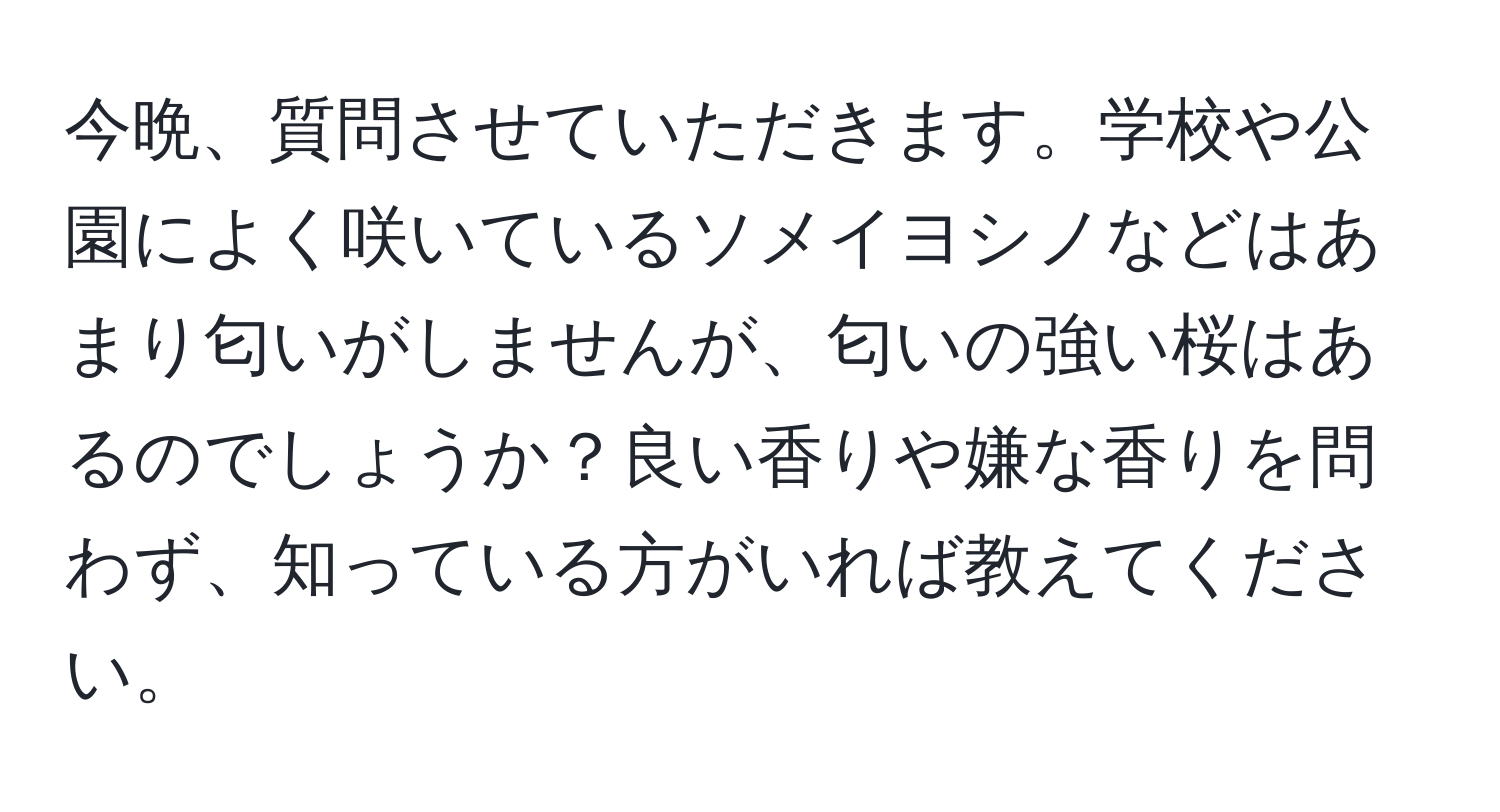 今晩、質問させていただきます。学校や公園によく咲いているソメイヨシノなどはあまり匂いがしませんが、匂いの強い桜はあるのでしょうか？良い香りや嫌な香りを問わず、知っている方がいれば教えてください。