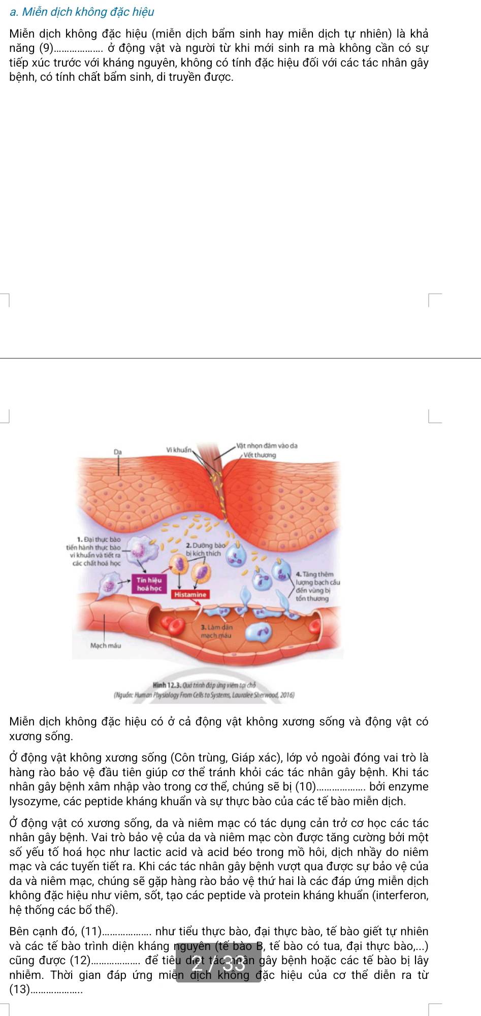 Miễn dịch không đặc hiệu
Miễn dịch không đặc hiệu (miễn dịch bẩm sinh hay miễn dịch tự nhiên) là khả
năng (9)_ ở động vật và người từ khi mới sinh ra mà không cần có sự
tiếp xúc trước với kháng nguyên, không có tính đặc hiệu đối với các tác nhân gây
bệnh, có tính chất bẩm sinh, di truyền được.
Hình 12.3, Quá trình đáp ứng viêm tại chỗ
(Nguồn: Human Physiology From Cells to Systerns, Lauralee Sherwood, 2016)
Miễn dịch không đặc hiệu có ở cả động vật không xương sống và động vật có
xương sống.
Ở động vật không xương sống (Côn trùng, Giáp xác), lớp vỏ ngoài đóng vai trò là
hàng rào bảo vệ đầu tiên giúp cơ thể tránh khỏi các tác nhân gây bệnh. Khi tác
nhân gây bệnh xâm nhập vào trong cơ thể, chúng sẽ bị (10)._ ..... bởi enzyme
lysozyme, các peptide kháng khuẩn và sự thực bào của các tế bào miễn dịch.
Ở động vật có xương sống, da và niêm mạc có tác dụng cản trở cơ học các tác
nhân gây bệnh. Vai trò bảo vệ của da và niêm mạc còn được tăng cường bởi một
số yếu tố hoá học như lactic acid và acid béo trong mồ hôi, dịch nhầy do niêm
mạc và các tuyến tiết ra. Khi các tác nhân gây bệnh vượt qua được sự bảo vệ của
da và niêm mạc, chúng sẽ gặp hàng rào bảo vệ thứ hai là các đáp ứng miễn dịch
không đặc hiệu như viêm, sốt, tạo các peptide và protein kháng khuẩn (interferon,
hệ thống các bổ thể).
Bên cạnh đó, (11) như tiểu thực bào, đại thực bào, tế bào giết tự nhiên
và các tế bào trình diện kháng nguyên (tế bào B, tế bào có tua, đại thực bào,...)
cũng được (12)....................... để tiêu diết tác nhân gây bệnh hoặc các tế bào bị lây
nhiễm. Thời gian đáp ứng miễn dịch không đặc hiệu của cơ thể diễn ra từ
(13)_