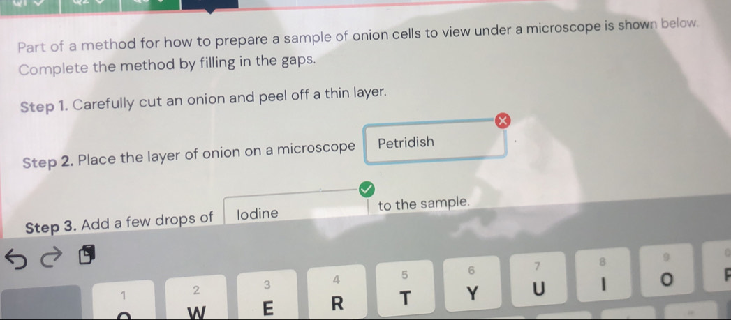 Part of a method for how to prepare a sample of onion cells to view under a microscope is shown below. 
Complete the method by filling in the gaps. 
Step 1. Carefully cut an onion and peel off a thin layer. 
Step 2. Place the layer of onion on a microscope Petridish 
Step 3. Add a few drops of lodine to the sample.
1 2 3 4 5 6 7
8 9 a 
W E R T Y U 1 0