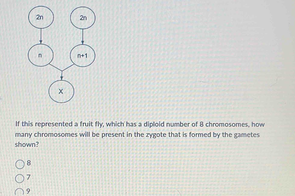 If this represented a fruit fly, which has a diploid number of 8 chromosomes, how
many chromosomes will be present in the zygote that is formed by the gametes
shown?
8
7
9