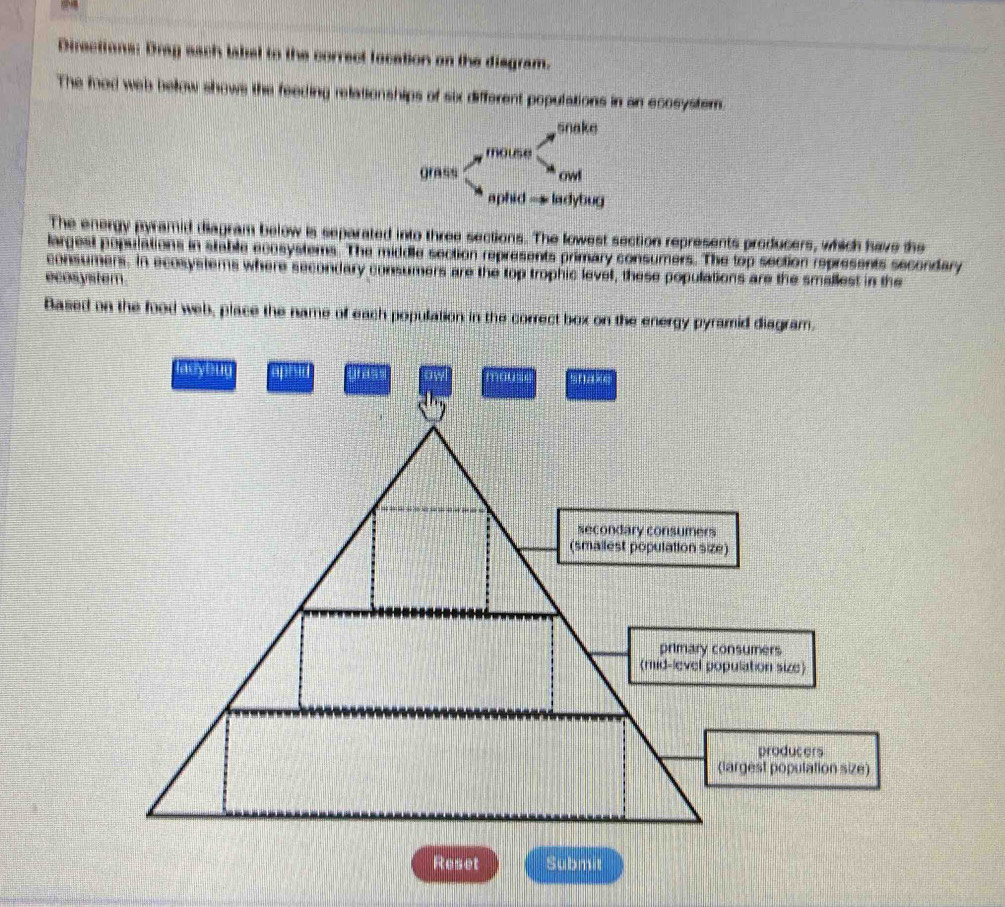 Directions: Dray each label to the correct focation on the disgram. 
The fod web bellow shows the feeding relationships of six different populations in an ecosystem. 
snake 
mouse 
grass ' owl 
aphid ladybug 
The energy pyramid diagram below is separated into three sections. The lowest section represents producers, which have the 
largest populations in stable ecosystems. The middle section represents primary consumers. The top section represents secondary 
consumers. In ecosystems where secondary consumers are the top trophic level, these populations are the smallest in the 
ecosystem . 
Based on the food web, place the name of each population in the correct box on the energy pyramid diagram. 
lacybug aphid f d ow mous ax 
producers 
(largest population size) 
Reset Submit