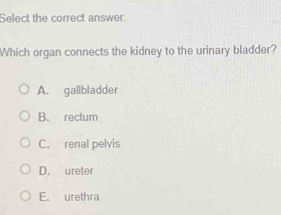 Select the correct answer.
Which organ connects the kidney to the urinary bladder?
A. gallbladder
B. rectum
C. renal pelvis
D. ureter
E. urethra