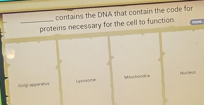 contains the DNA that contain the code for
_proteins necessary for the cell to function. more..
Golgi apparatus Lysosome Mitochondria Nucleus