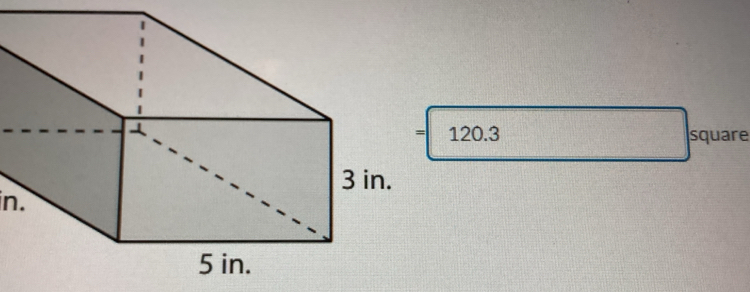 120.3 square
in.