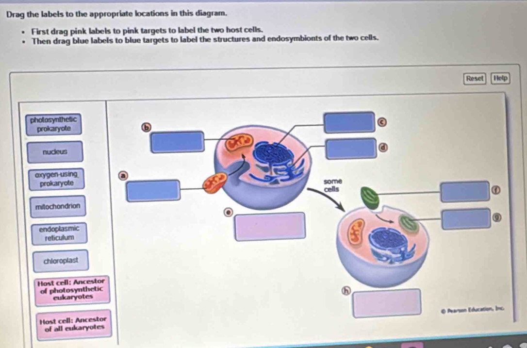 Solved: Drag the labels to the appropriate locations in this diagram ...
