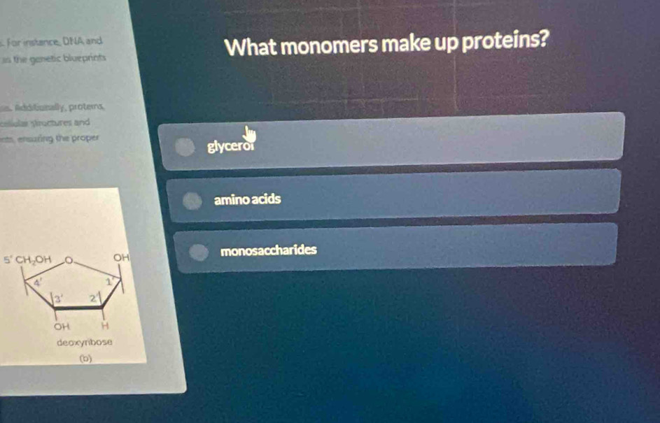 For instance, DNA and
s the genetic blueprints What monomers make up proteins?
dditonally, protems
caliolar sructures and
nts, ensuring the proper
glycero
amino acids
monosaccharides
(b)