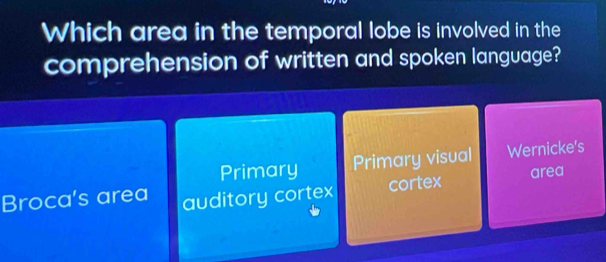 Which area in the temporal lobe is involved in the
comprehension of written and spoken language?
Primary Primary visual Wernicke's
Broca's area auditory cortex cortex area