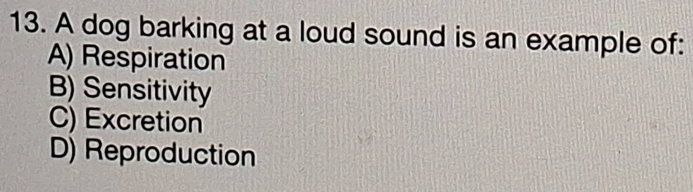 A dog barking at a loud sound is an example of:
A) Respiration
B) Sensitivity
C) Excretion
D) Reproduction