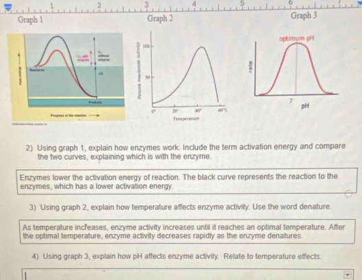 2 3 4 5
Graph 1 Graph 2 Graph 3
2) Using graph 1, explain how enzymes work. Include the term activation energy and compare
the two curves, explaining which is with the enzyme.
Enzymes lower the activation energy of reaction. The black curve represents the reaction to the
enzymes, which has a lower activation energy.
3) Using graph 2, explain how temperature affects enzyme activity. Use the word denature.
As temperature increases, enzyme activity increases until it reaches an optimal temperature. After
the optimal temperature, enzyme activity decreases rapidly as the enzyme denatures.
4) Using graph 3, explain how pH affects enzyme activity. Relate to temperature effects.