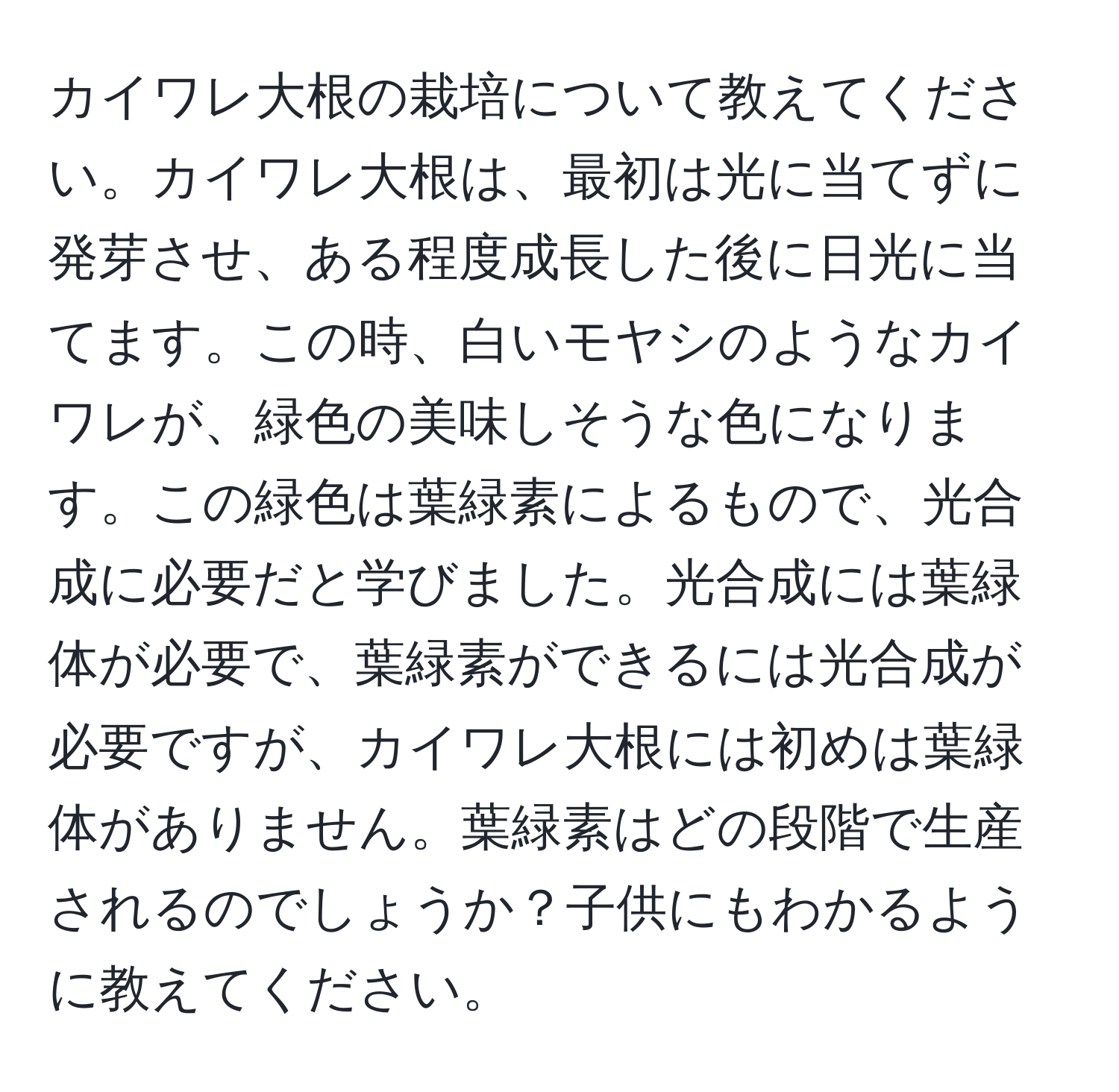 カイワレ大根の栽培について教えてください。カイワレ大根は、最初は光に当てずに発芽させ、ある程度成長した後に日光に当てます。この時、白いモヤシのようなカイワレが、緑色の美味しそうな色になります。この緑色は葉緑素によるもので、光合成に必要だと学びました。光合成には葉緑体が必要で、葉緑素ができるには光合成が必要ですが、カイワレ大根には初めは葉緑体がありません。葉緑素はどの段階で生産されるのでしょうか？子供にもわかるように教えてください。