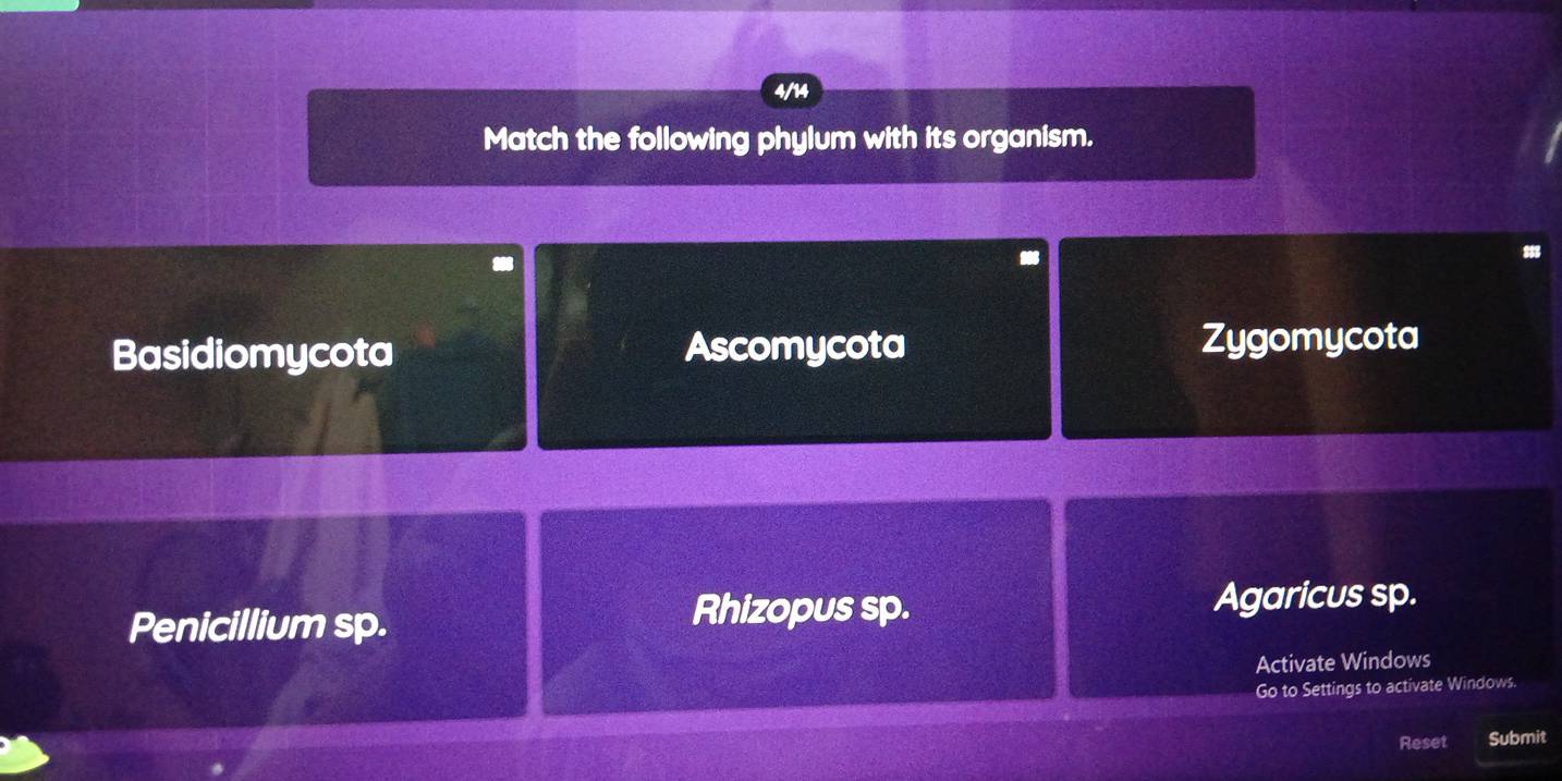 4/14
Match the following phylum with its organism.
Basidiomycota Ascomycota Zygomycota
Rhizopus sp.
Penicillium sp. Agaricus sp.
Activate Windows
Go to Settings to activate Windows.
Reset Submit