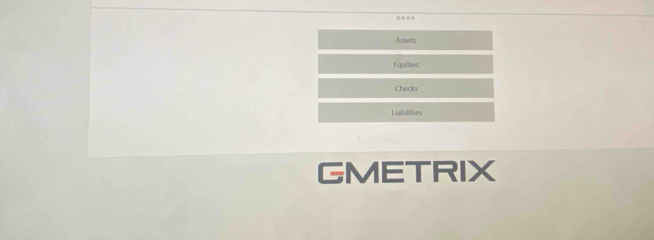 .. . - 
Assets 
Equities 
Checks 
Liabilities 
GMETRIX