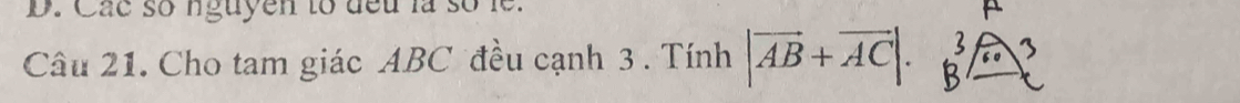 Các số nguyen to đeu là số le. 
Câu 21. Cho tam giác ABC đều cạnh 3. Tính |vector AB+vector AC|.