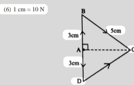 (6) 1cm=10N