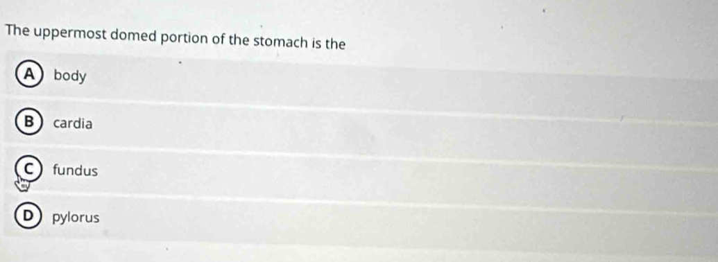 The uppermost domed portion of the stomach is the
Abody
Bcardia
Cfundus
Dpylorus