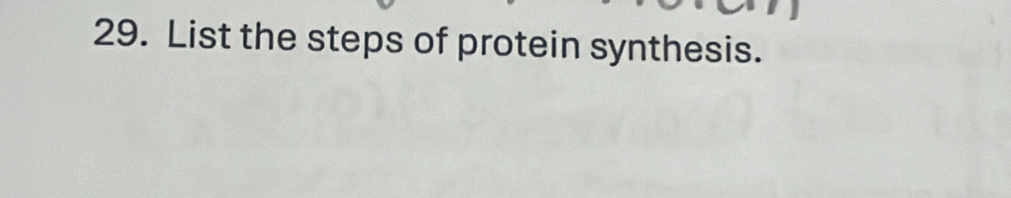 List the steps of protein synthesis.