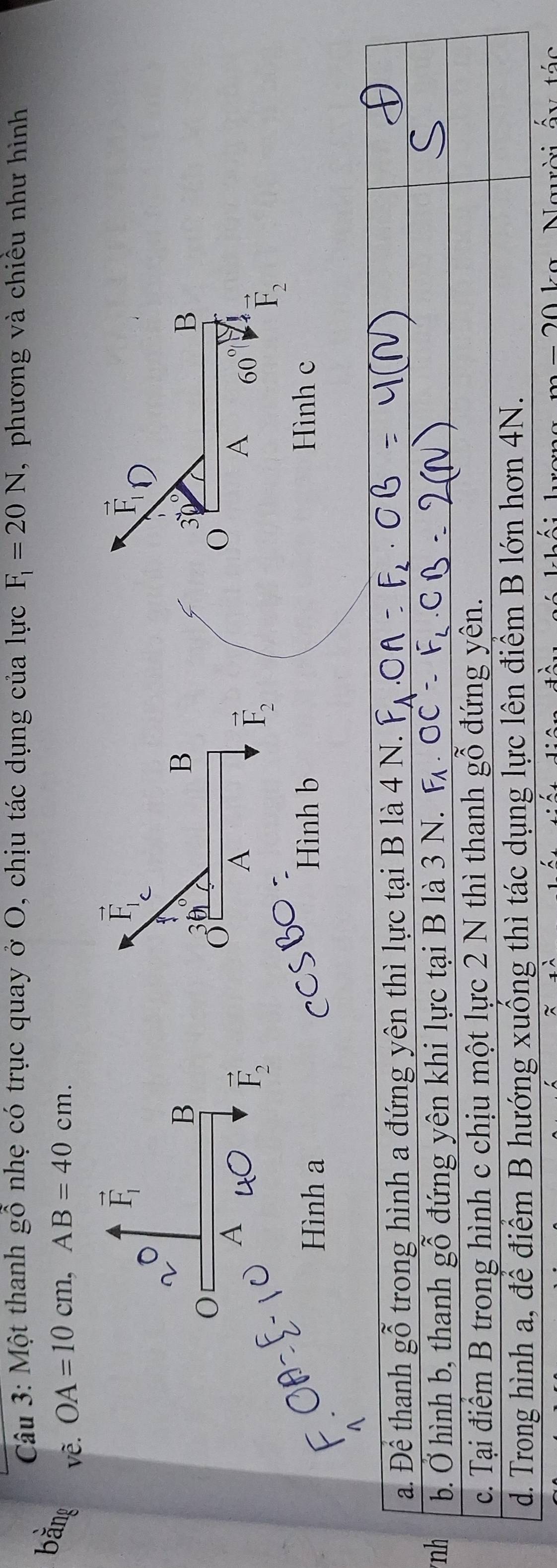 Một thanh gỗ nhẹ có trục quay ở O, chịu tác dụng của lực F_1=20N , phương và chiều như hình 
về. OA=10cm, AB=40cm.
vector F_1
vector F_1
vector F
C 

B 
B
30°
B 
0 
A 
σ 
O
vector F_2
A
vector F_2
A 60 vector F_2
Hình a Hình b Hình c 
n
m-20