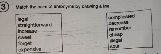 Match the pairs of antonyms by drawing a line.
legal
complicated
straightforward decrease
increase
remember
sweet cheap
forget illegal
expensive sour