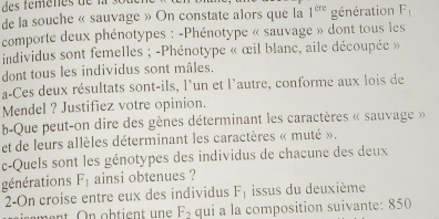 de la souche « sauvage » On constate alors que la 1^(cre) génération F_1
comporte deux phénotypes : -Phénotype « sauvage » dont tous les 
individus sont femelles ; -Phénotype « œil blanc, aile découpée » 
dont tous les individus sont mâles. 
a-Ces deux résultats sont-ils, l'un et l'autre, conforme aux lois de 
Mendel ? Justifiez votre opinion. 
b-Que peut-on dire des gènes déterminant les caractères « sauvage » 
et de leurs allèles déterminant les caractères « muté ». 
c-Quels sont les génotypes des individus de chacune des deux 
générations F_1 ainsi obtenues ? 
2-On croise entre eux des individus F_1 issus du deuxième 
ment On obtient une F₂ qui a la composition suivante: 850