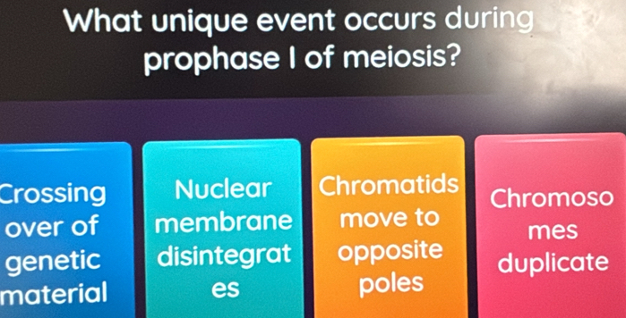 What unique event occurs during
prophase I of meiosis?
Crossing Nuclear Chromatids Chromoso
over of membrane move to mes
genetic disintegrat opposite duplicate
material es poles