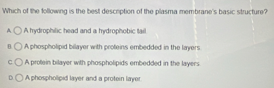 Which of the following is the best description of the plasma membrane's basic structure?
A A hydrophilic head and a hydrophobic tail
B. A phospholipid bilayer with proteins embedded in the layers.
C A protein bilayer with phospholipids embedded in the layers.
D A phospholipid layer and a protein layer