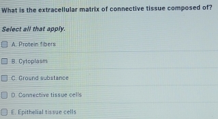 Solved: What is the extracellular matrix of connective tissue composed ...
