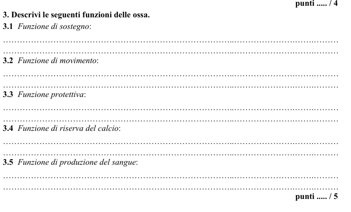 punti ..... / 4 
3. Descrivi le seguenti funzioni delle ossa. 
3.1 Funzione di sostegno: 
_ 
_ 
3.2 Funzione di movimento: 
_ 
_ 
3.3 Funzione protettiva: 
_ 
_ 
3.4 Funzione di riserva del calcio: 
_ 
_ 
3.5 Funzione di produzione del sangue: 
_ 
_ 
punti ..... / 5