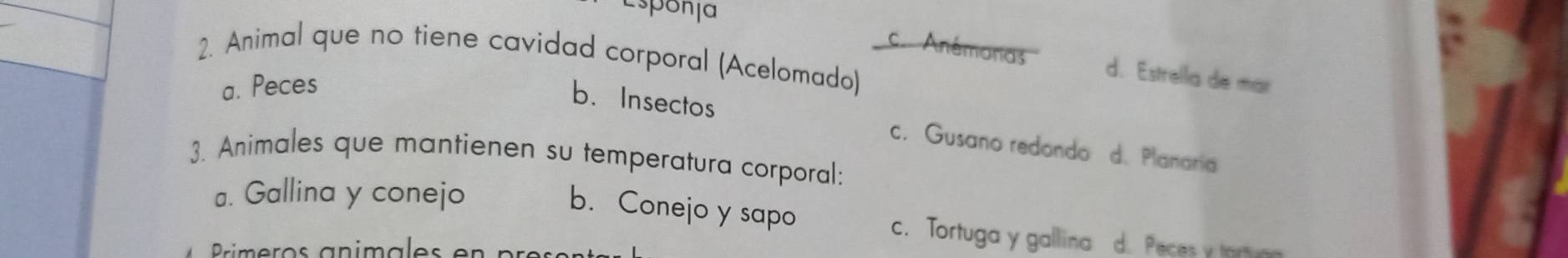 Esponía
2. Animal que no tiene cavidad corporal (Acelomado)
C Anémonas d. Estrella de mar
a. Peces
b. Insectos c. Gusano redondo d. Planaria
3. Animales que mantienen su temperatura corporal:
a. Gallina y conejo
b. Conejo y sapo c. Tortuga y gallina d. Peces y tortuan