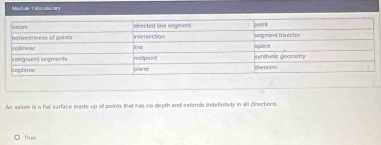 Modate 1 Vocabuary
An axiom is a flat surface made up of points that has no depth and extends indefinitely in all directions.
True