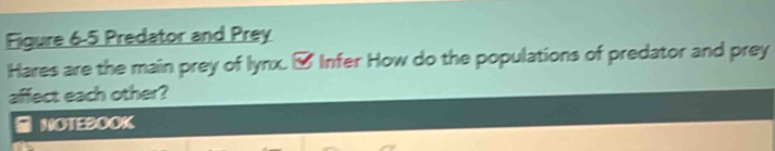 Figure 6-5 Predator and Prey 
Hares are the main prey of lynx. [ Infer How do the populations of predator and prey 
affect each other? 
NOTEBOOK
