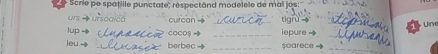Scrie pe spațille punctate; respectând modelele de mai jos: 
_ 
_ 
LrS - curcan → _tigrù 
Une 
_ 
lup _coCo9 _lepure → 
leu _berbec _soarece _