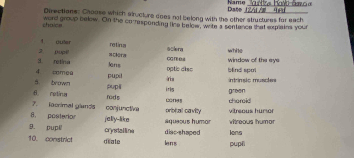 Name 
_ 
Date 
Directions: Choose which structure does not belong with the other structures for each 
word group below. On the corresponding line below, write a sentence that explains your 
choice. 
1. outer retina sclera white 
2. pupil sciera cornea window of the eye 
3. retina lens optic disc blind spot 
4. corea pupil iris 
intrinsic muscles 
5. brown pupil iris 
green 
6. retina rods cones choroid 
7. lacrimal glands conjunctiva orbital cavity vitreous humor 
8. posterior jelly-like aqueous humor vitreous humor 
9. pupil crystalline disc-shaped lens 
10. constrict dilate lens pupil