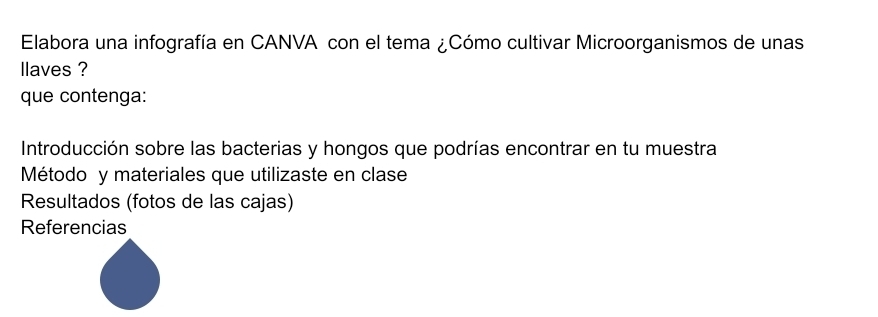 Elabora una infografía en CANVA con el tema ¿Cómo cultivar Microorganismos de unas 
llaves ? 
que contenga: 
Introducción sobre las bacterias y hongos que podrías encontrar en tu muestra 
Método y materiales que utilizaste en clase 
Resultados (fotos de las cajas) 
Referencias