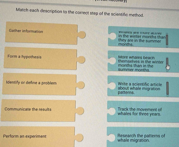 ecovery
Match each description to the correct step of the scientific method.
whales are more acuve
Gather information in the winter months than
they are in the summer
months.
More whales beach
Form a hypothesis themselves in the winter
months than in the
summer months.
Identify or define a problem Write a scientific article
about whale migration
patterns.
Track the movement of
Communicate the results whales for three years.
Perform an experiment Research the patterns of
whale migration.