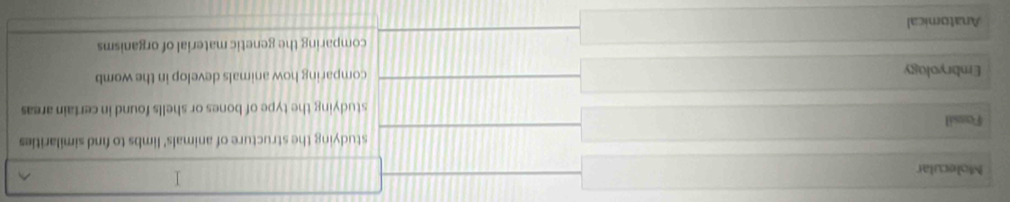Molecular
I
^
studying the structure of animals' limbs to find similarities
Fassil
studying the type of bones or shells found in certain areas
Embryology comparing how animals develop in the womb
comparing the genetic material of organisms
Anatomical