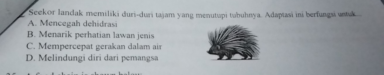 Seekor landak memiliki duri-duri tajam yang menutupi tubuhnya. Adaptasi ini berfungsi untuk
A. Mencegah dehidrasi
B. Menarik perhatian lawan jenis
C. Mempercepat gerakan dalam air
D. Melindungi diri dari pemangsa