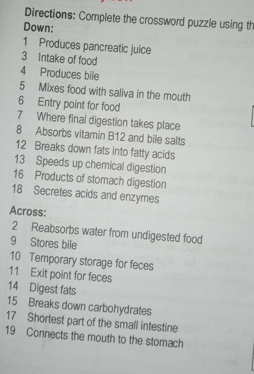 Directions: Complete the crossword puzzle using th 
Down: 
1 Produces pancreatic juice 
3 Intake of food 
4 Produces bile 
5 Mixes food with saliva in the mouth 
6 Entry point for food 
7 Where final digestion takes place 
8 Absorbs vitamin B12 and bile salts 
12 Breaks down fats into fatty acids 
13 Speeds up chemical digestion 
16 Products of stomach digestion 
18 Secretes acids and enzymes 
Across: 
2 Reabsorbs water from undigested food 
9 Stores bile 
10 Temporary storage for feces 
11 Exit point for feces 
14 Digest fats 
15 Breaks down carbohydrates 
17 Shortest part of the small intestine 
19 Connects the mouth to the stomach