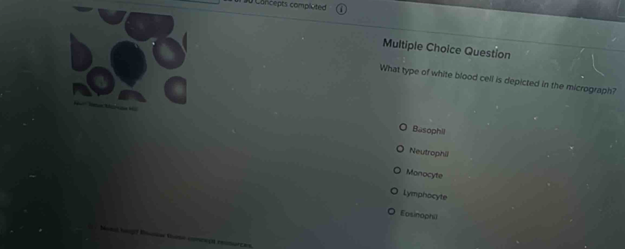 Concepts completed
Multiple Choice Question
What type of white blood cell is depicted in the micrograph?
Basophil
Neutrophil
Monocyte
Lymphocyte
Eosinophil