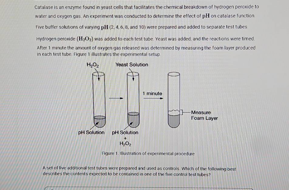 Catalase is an enzyme found in yeast cells that facilitates the chemical breakdown of hydrogen peroxide to 
water and oxygen gas. An experiment was conducted to determine the effect of pH on catalase function. 
Five buffer solutions of varying pH (2, 4, 6, 8, and 10) were prepared and added to separate test tubes. 
Hydrogen peroxide (H_2O_2) was added to each test tube. Yeast was added, and the reactions were timed. 
After 1 minute the amount of oxygen gas released was determined by measuring the foam layer produced 
in each test tube. Figure 1 illustrates the experimental setup.
H_2O_2 Yeast Solution
1 minute
Measure 
Foam Layer 
pH Solution pH Solution 
+
H_2O_2
Figure 1. Illustration of experimental procedure 
A set of five additional test tubes were prepared and used as controls. Which of the following best 
describes the contents expected to be contained in one of the five control test tubes?