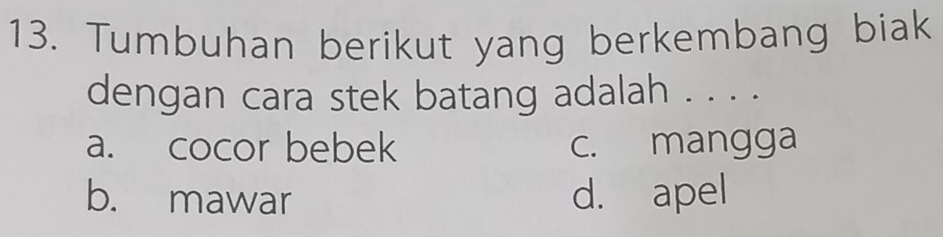 Tumbuhan berikut yang berkembang biak
dengan cara stek batang adalah . . . .
a. cocor bebek c. mangga
b. mawar d. apel