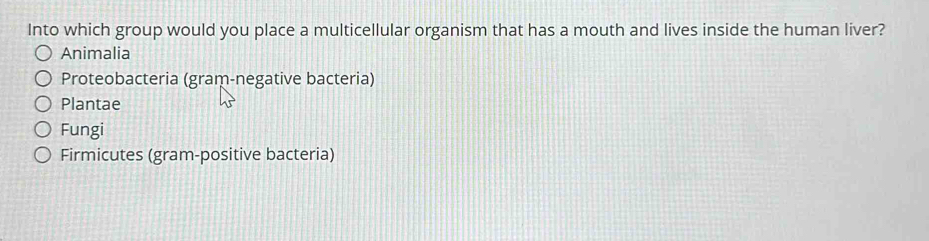 Into which group would you place a multicellular organism that has a mouth and lives inside the human liver?
Animalia
Proteobacteria (gram-negative bacteria)
Plantae
Fungi
Firmicutes (gram-positive bacteria)