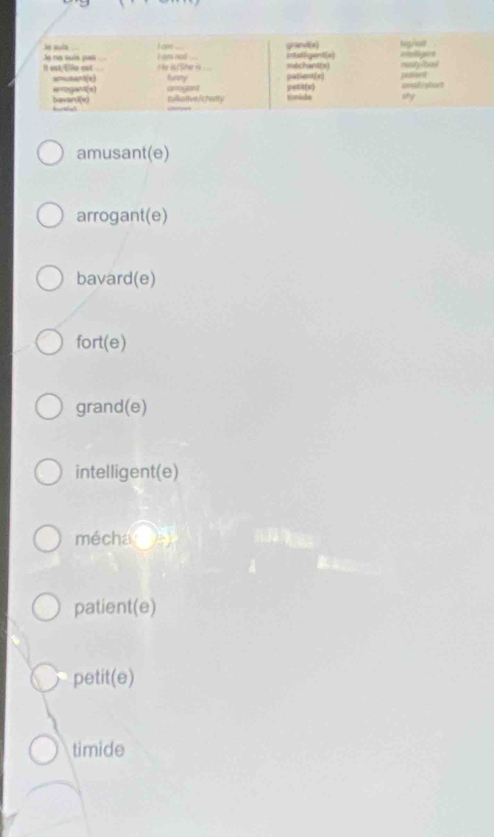 Ja ra suin pan I am nad L ave grand[x eliges Reg/e
Je suís it aligent(e)
Il est Ello est the is t Sar is fury parlent(c) mtchanitei pollioed mady lond
s”“sa=1(e)
arogaht(e) organ) petiste)
bavard(e) tallaten/chry Eoide undk/short
sy
amusant(e)
arrogant(e)
bavard(e)
fort(e)
grand(e)
intelligent(e)
mécha
patient(e)
petit(e)
timide