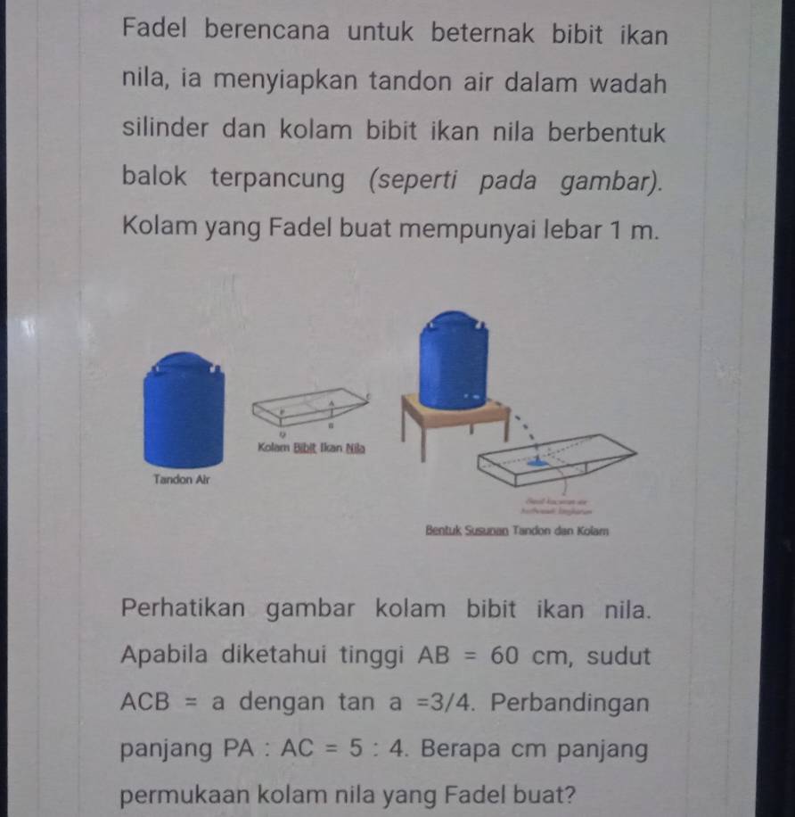 Fadel berencana untuk beternak bibit ikan 
nila, ia menyiapkan tandon air dalam wadah 
silinder dan kolam bibit ikan nila berbentuk 
balok terpancung (seperti pada gambar). 
Kolam yang Fadel buat mempunyai lebar 1 m. 
Perhatikan gambar kolam bibit ikan nila. 
Apabila diketahui tinggi AB=60cm , sudut
ACB=a dengan tan a=3/4. Perbandingan 
panjang PA:AC=5:4. Berapa cm panjang 
permukaan kolam nila yang Fadel buat?