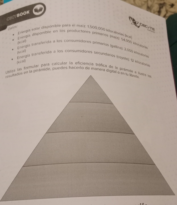 CaCybook 
Datos: 
CECYTE 
Energía solar disponible para el maíz: 1,500,000 kilocalorías (kcal) 
Energía disponible en los productores primarios (maíz): 54,000 kilocalorías
(kcal) 
Energía transferida a los consumidores primarios (gallina): 2,000 kilocalorías
(kcal) 
Energía transferida a los consumidores secundarios (coyote): 12 kilocaloría
(kcal)