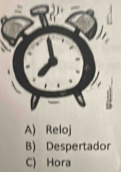 A) Reloj
B) Despertador
C) Hora