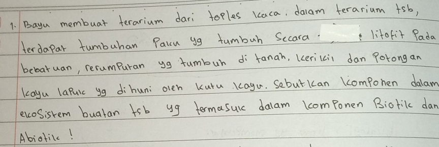 Bayn membuar terarium dari toples kaca, daam terarium +sb, 
terdapar tumbuhan Paru gg fumbuh Sccara. litofit Pada 
bebatuan, rerumPuran yg fumbur di fanah, kericii dan Porong an 
kayu laPuic yg dihun: olen Kutu Kagu. Sebutkan Ccompohen dalam 
excosisrem buatan fsb yg termasuic dalam lcomponen Biotil dan 
Abioticc!